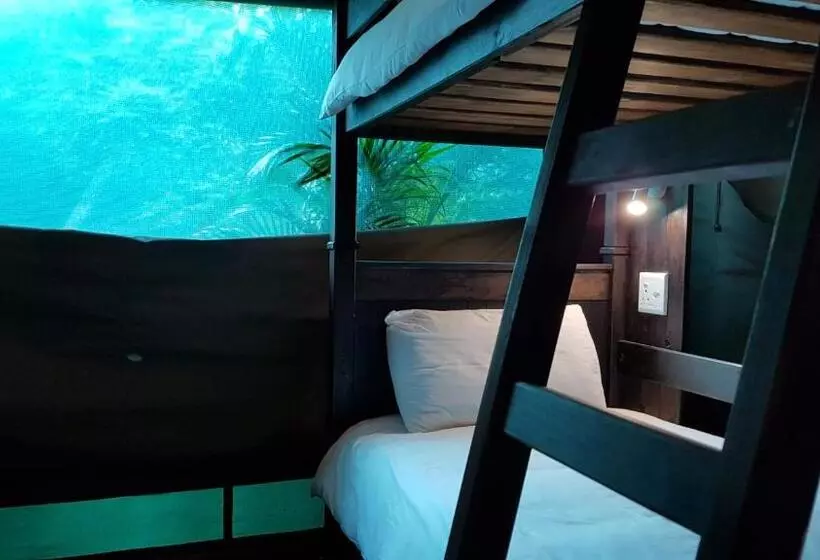ルームシェアのワンベッド, Urban Glamping Tranquil International Backpacking Village