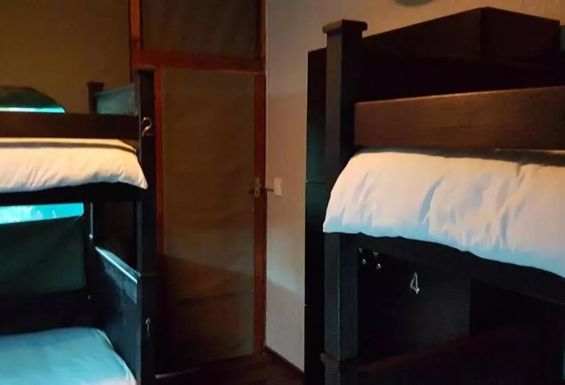ルームシェアのワンベッド, Urban Glamping Tranquil International Backpacking Village