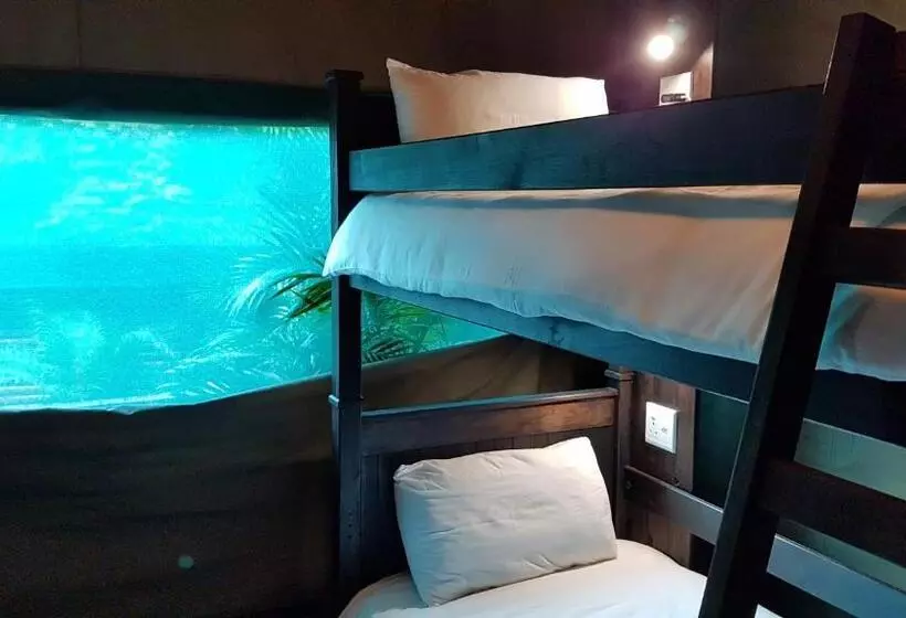 ルームシェアのワンベッド, Urban Glamping Tranquil International Backpacking Village