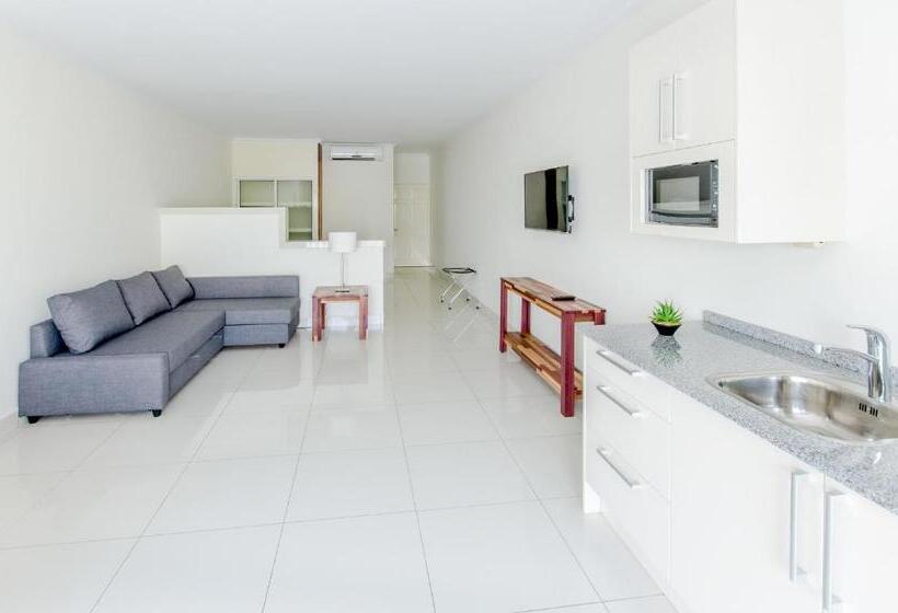 استودیوی استاندارد, Babylon