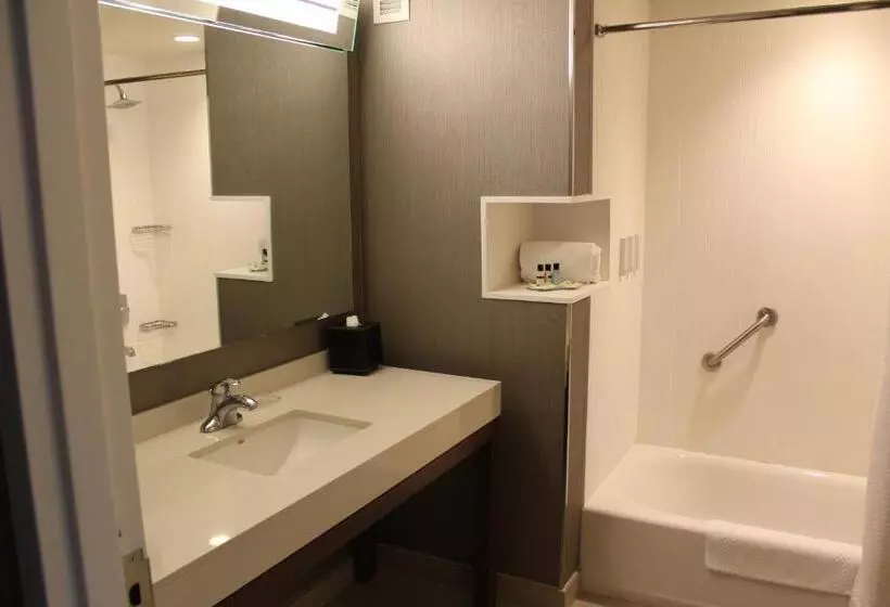 スタンダードルーム, Courtyard By Marriott Muncie At Horizon Convention Center