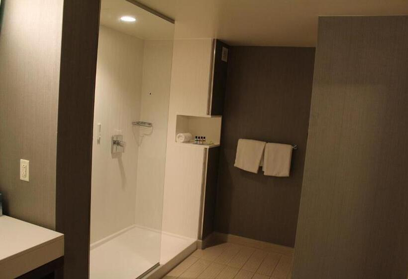 스위트, Courtyard By Marriott Muncie At Horizon Convention Center