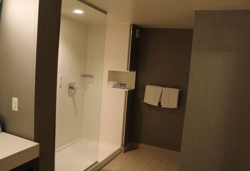 스위트, Courtyard By Marriott Muncie At Horizon Convention Center