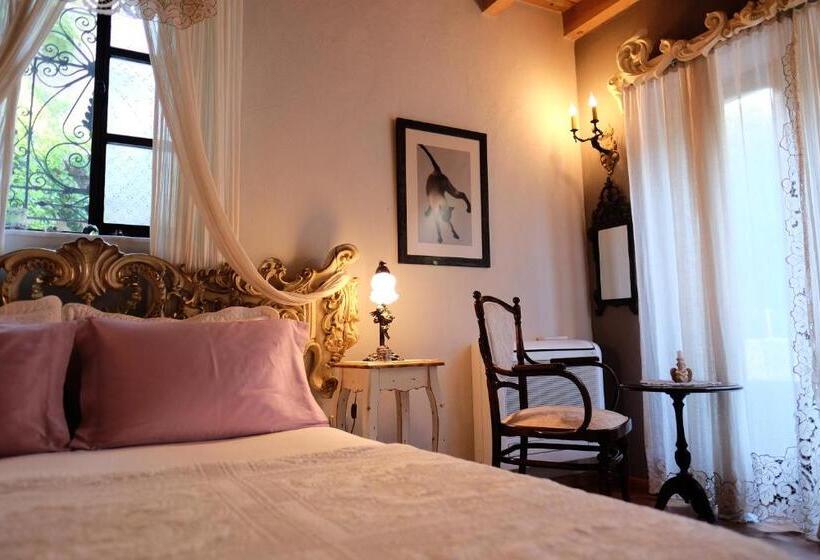 جناح, Ha La Bodrum