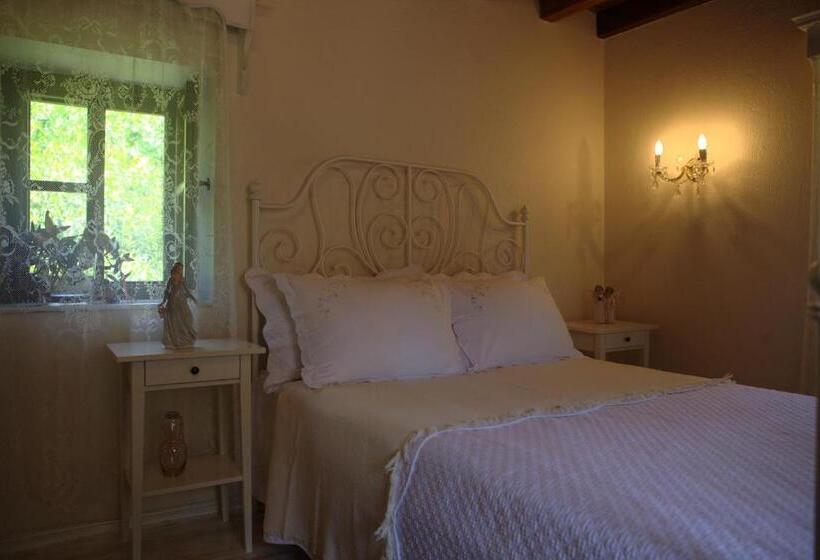 غرفة قياسية, Ha La Bodrum