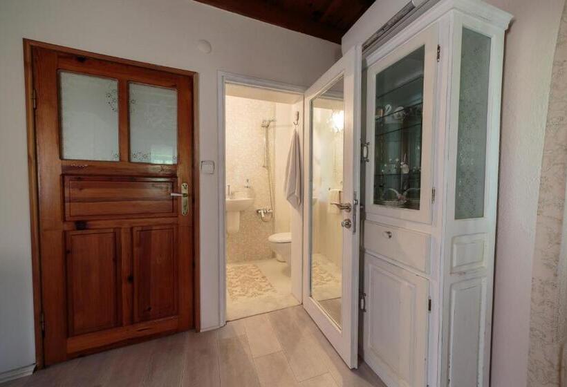 غرفة قياسية, Ha La Bodrum