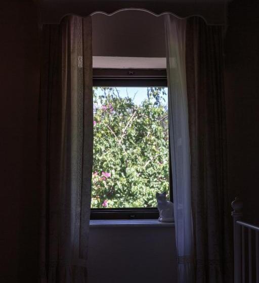 غرفة قياسية, Ha La Bodrum