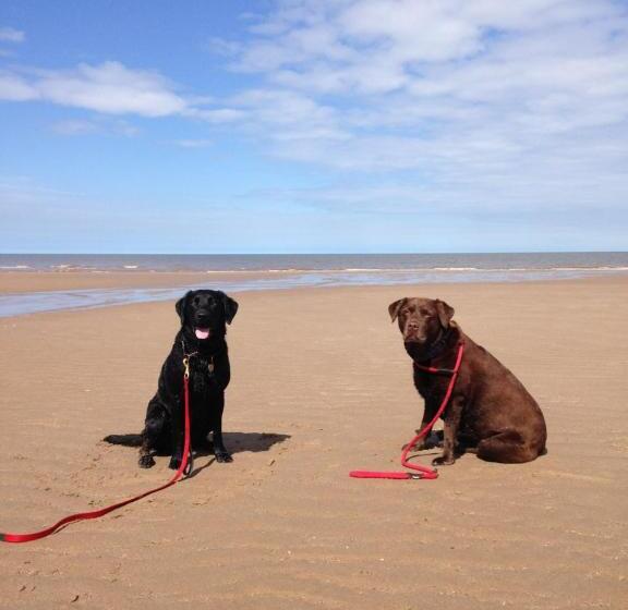 בית, חדר שינה 1, Manor Farm Stay