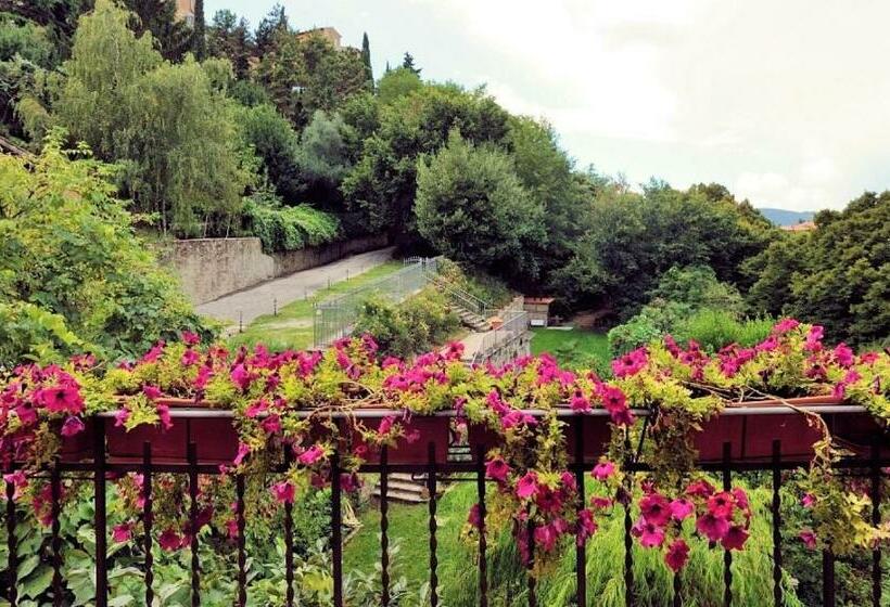 اتاق استاندارد, San Sebastiano