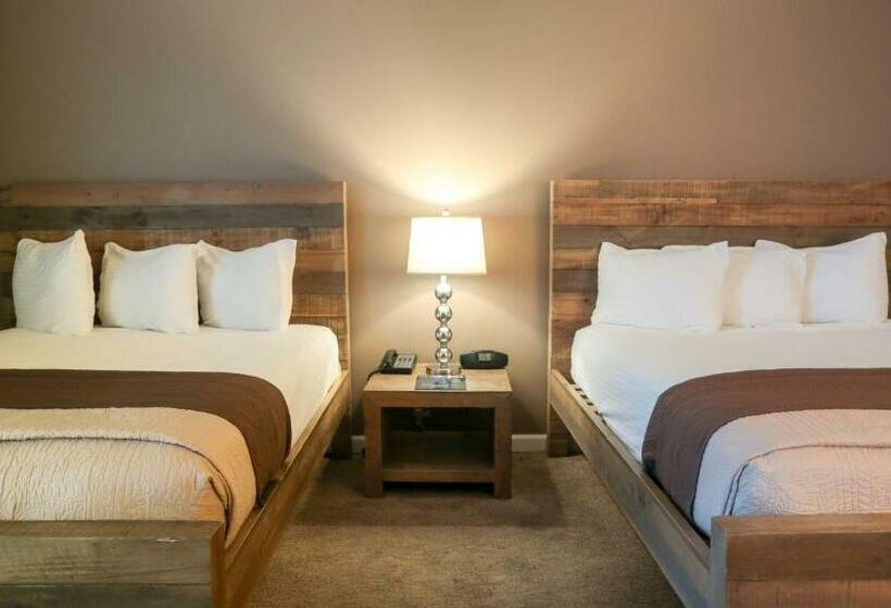 标准间, Thunderbird Boutique