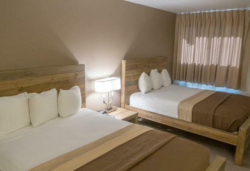 标准间, Thunderbird Boutique