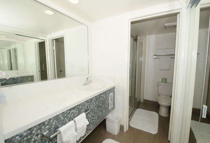 小型套房, Thunderbird Boutique