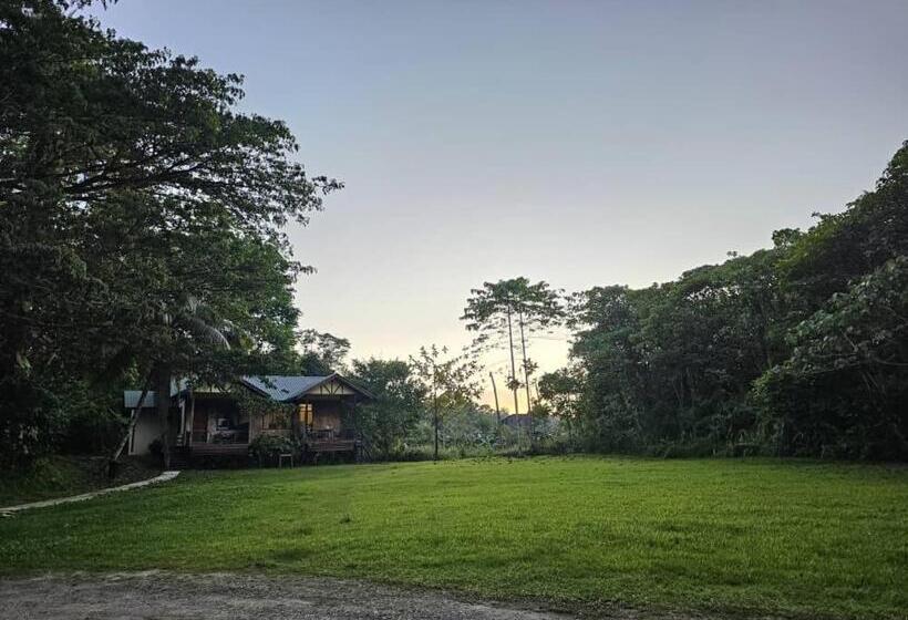 패밀리 룸, Sepilok B&b