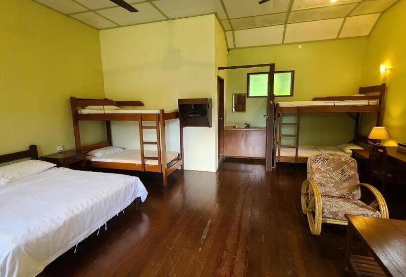 패밀리 룸, Sepilok B&b