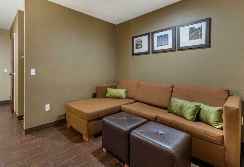 סוויטה, Comfort Inn & Suites Pittsburgh South