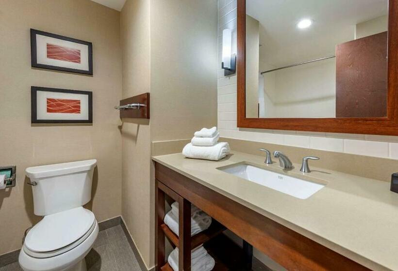 חדר סטנדרט עם מיטת קינג, Comfort Inn & Suites Pittsburgh South