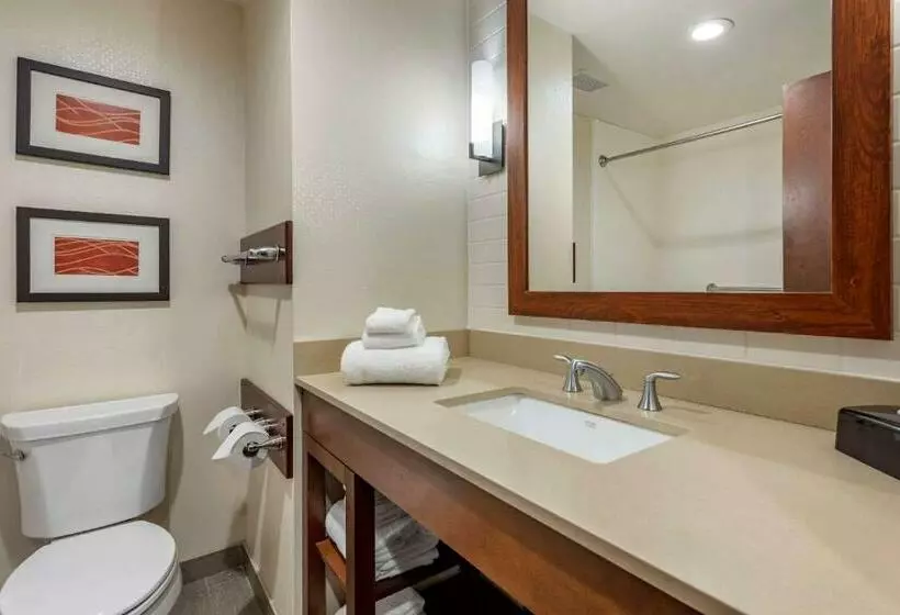 اتاق استاندارد با تخت بزرگ, Comfort Inn & Suites Pittsburgh South