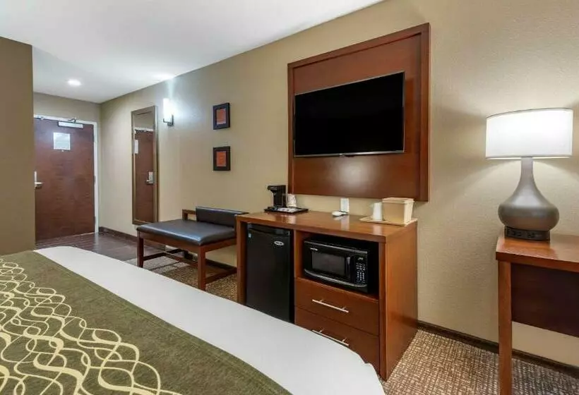 اتاق استاندارد, Comfort Inn & Suites Pittsburgh South