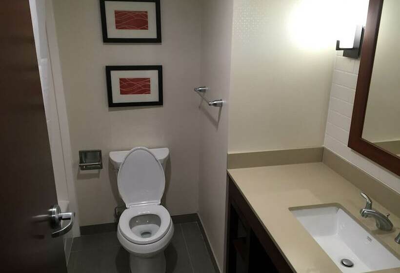 סוויטה, Comfort Inn & Suites Pittsburgh South