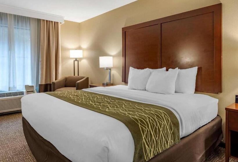 חדר סטנדרט עם מיטת קינג, Comfort Inn & Suites Pittsburgh South