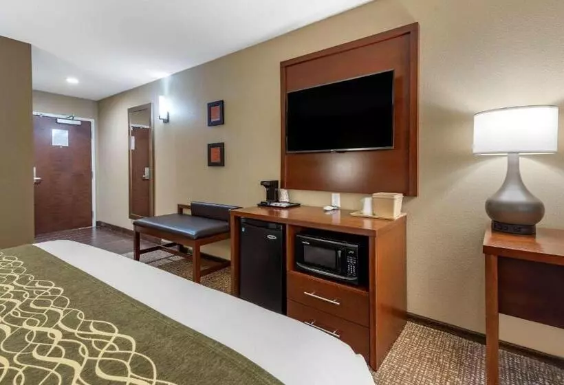 اتاق استاندارد با تخت بزرگ, Comfort Inn & Suites Pittsburgh South