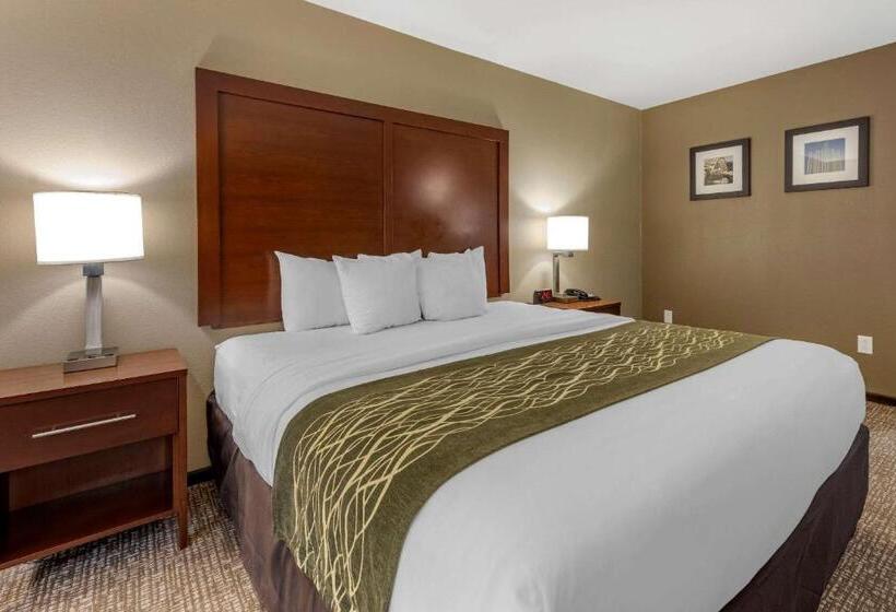 חדר סטנדרט עם מיטת קינג, Comfort Inn & Suites Pittsburgh South