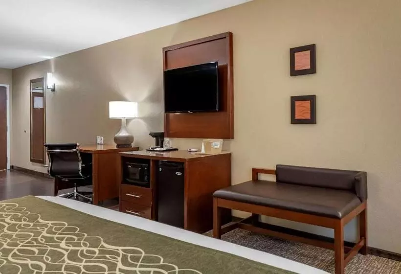 سوئیت با تخت بزرگ, Comfort Inn & Suites Pittsburgh South