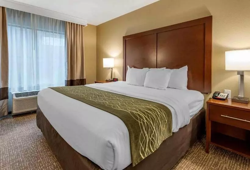 سوئیت با تخت بزرگ, Comfort Inn & Suites Pittsburgh South