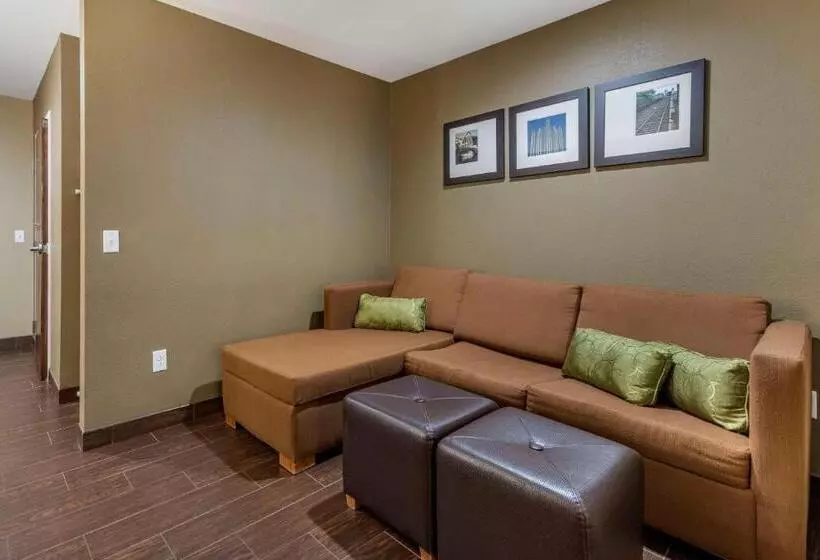 سوئیت با تخت بزرگ, Comfort Inn & Suites Pittsburgh South