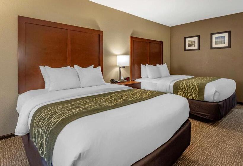 جناح لذوى الاحتياجات الخاصة, Comfort Inn & Suites Pittsburgh South