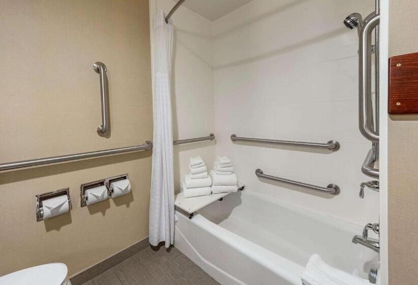 חדר סטנדרט מותאם לאדם עם מוגבלויות, Comfort Inn & Suites Pittsburgh South