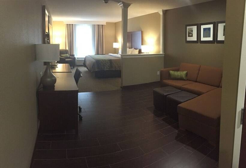 套房, Comfort Inn & Suites Pittsburgh South