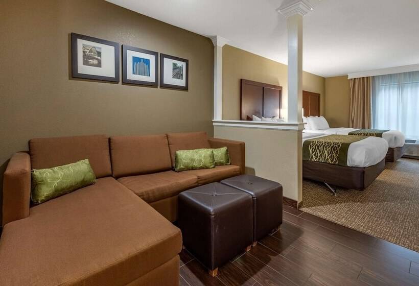 סוויטה מותאמת לאדם עם מוגבלויות, Comfort Inn & Suites Pittsburgh South