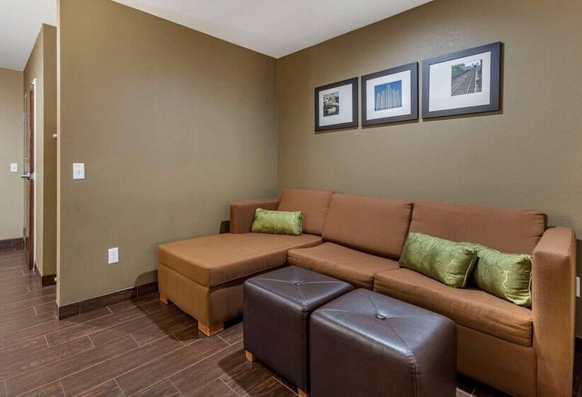 סוויטה מותאמת לאדם עם מוגבלויות, Comfort Inn & Suites Pittsburgh South