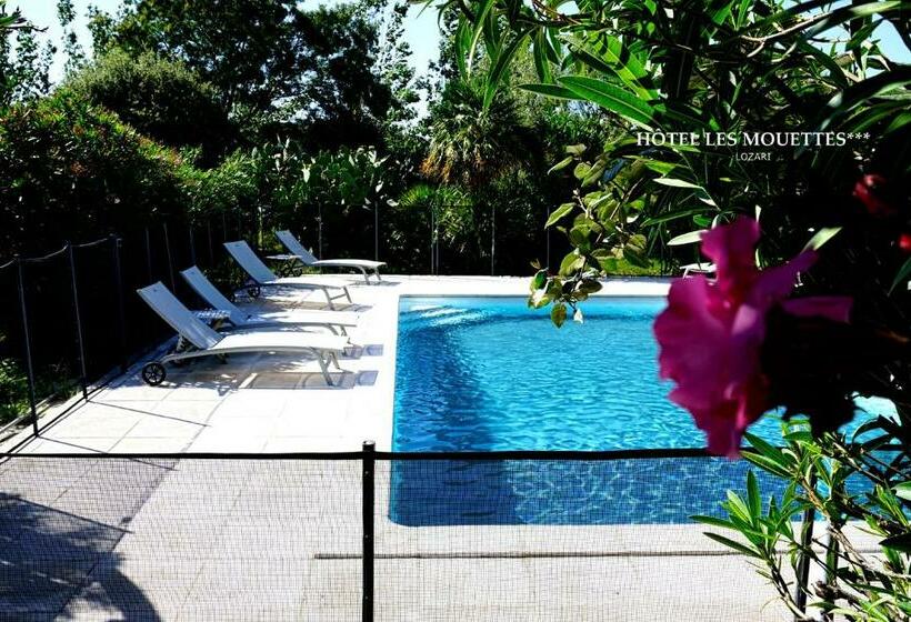 חדר סטנדרט, Hôtel & Restaurant Les Mouettes