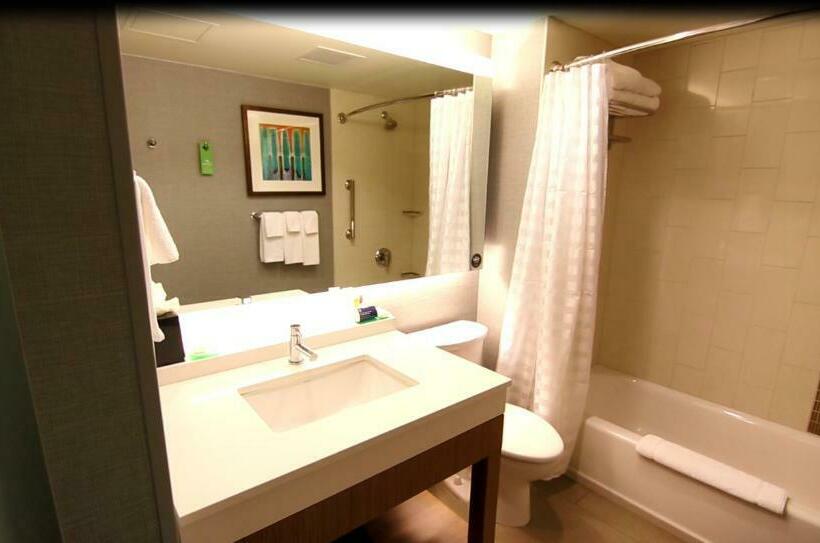 Номер Стандарт Кровать Кинг Адаптированный для Инвалидов, Hyatt Place Dfw