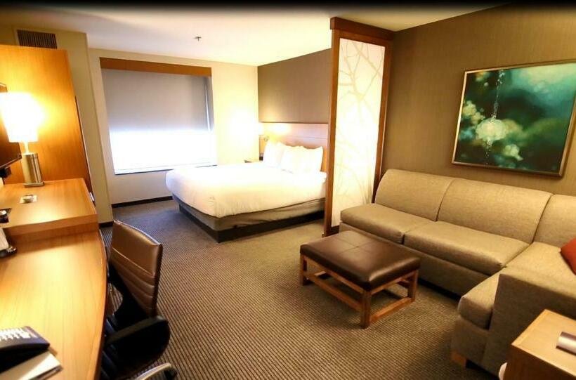 Номер Стандарт Кровать Кинг Адаптированный для Инвалидов, Hyatt Place Dfw