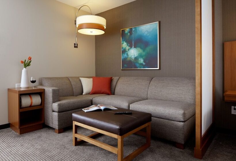 Номер Стандартный Кровать Куин, Hyatt Place Dfw