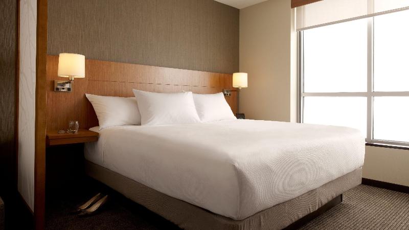 Стандартный Номер Кровать Кинг, Hyatt Place Dfw