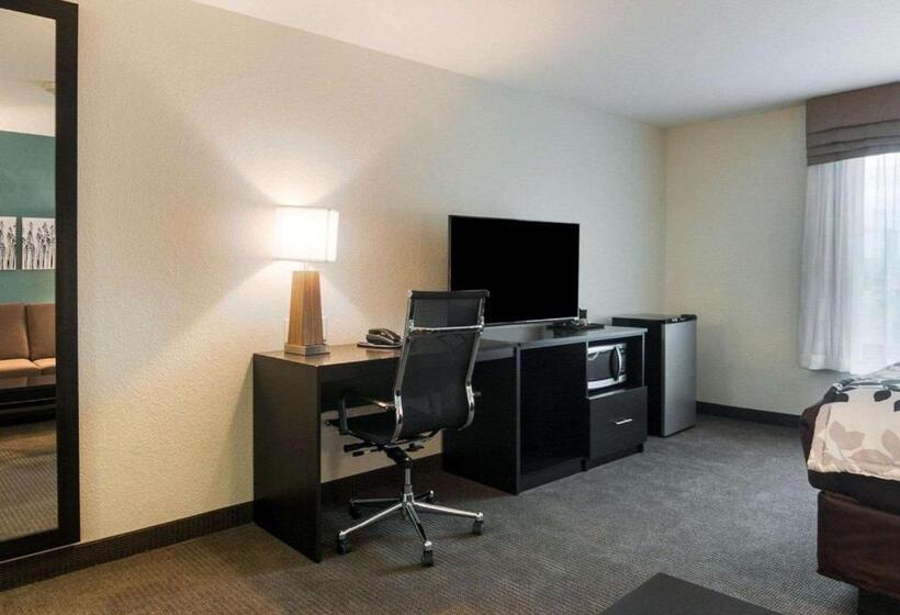 جناح سرير كينج, Sleep Inn & Suites Fort Dodge
