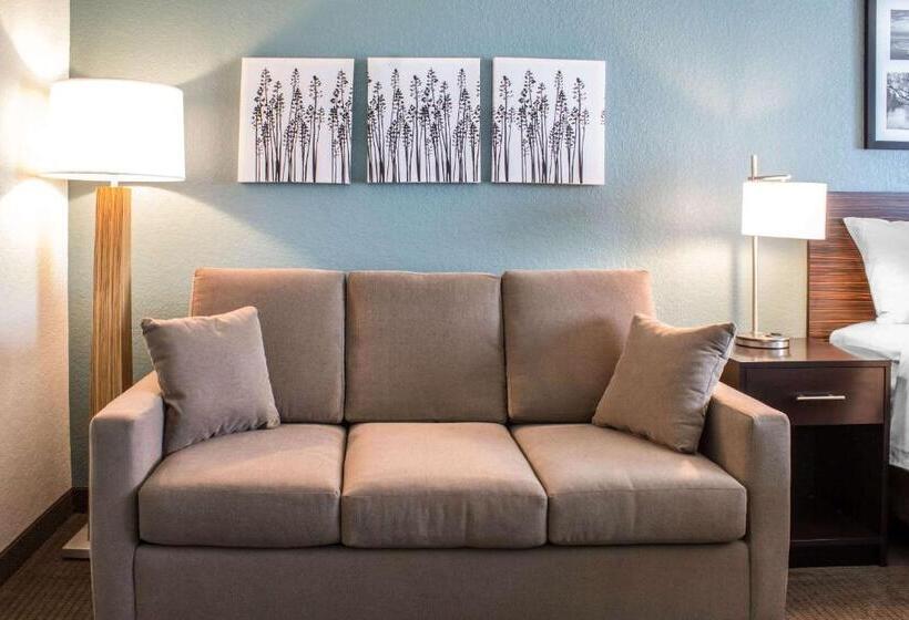 جناح سرير كينج, Sleep Inn & Suites Fort Dodge