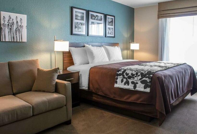 غرفة قياسية, Sleep Inn & Suites Fort Dodge