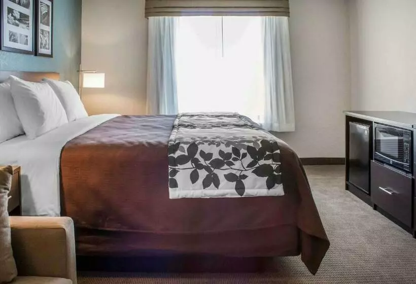 سوئیت با تخت بزرگ, Sleep Inn & Suites Fort Dodge