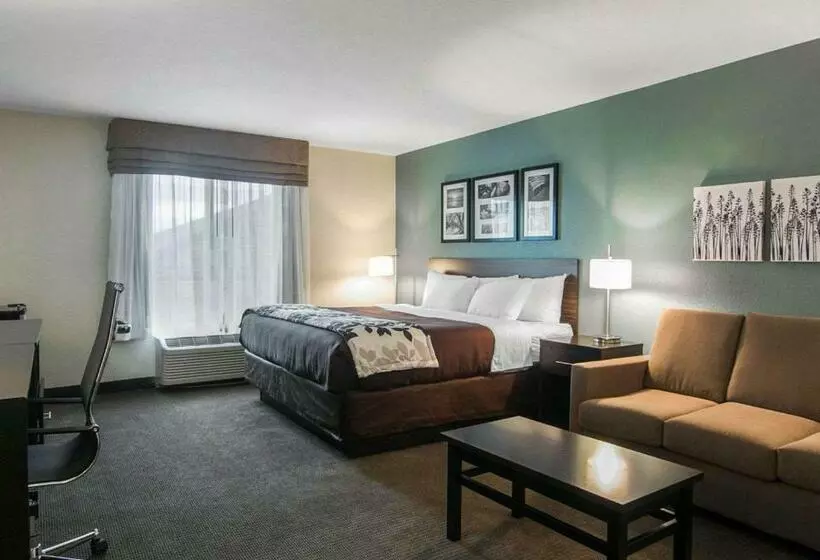 سوئیت با تخت بزرگ, Sleep Inn & Suites Fort Dodge