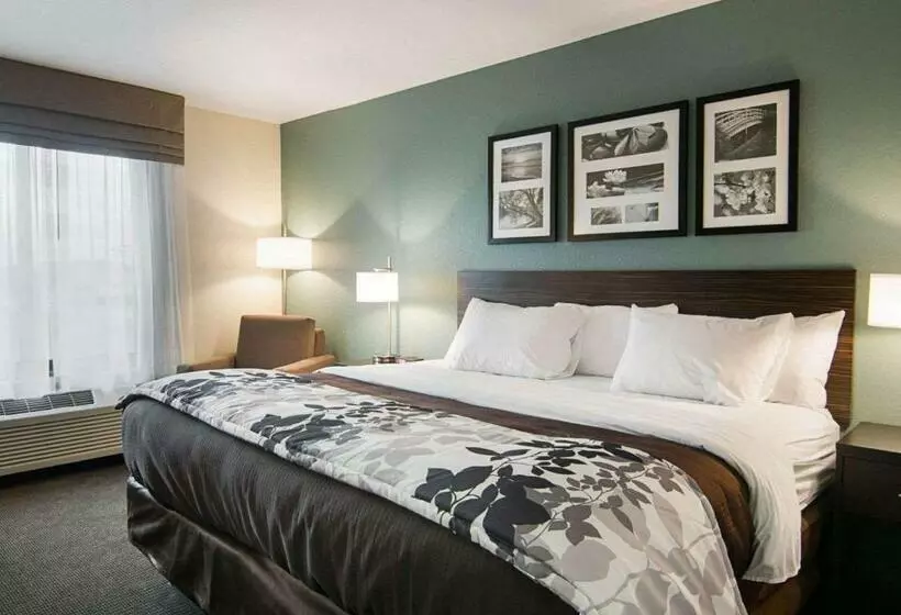 اتاق استاندارد با تخت بزرگ, Sleep Inn & Suites Fort Dodge