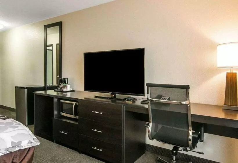 اتاق استاندارد با تخت بزرگ, Sleep Inn & Suites Fort Dodge