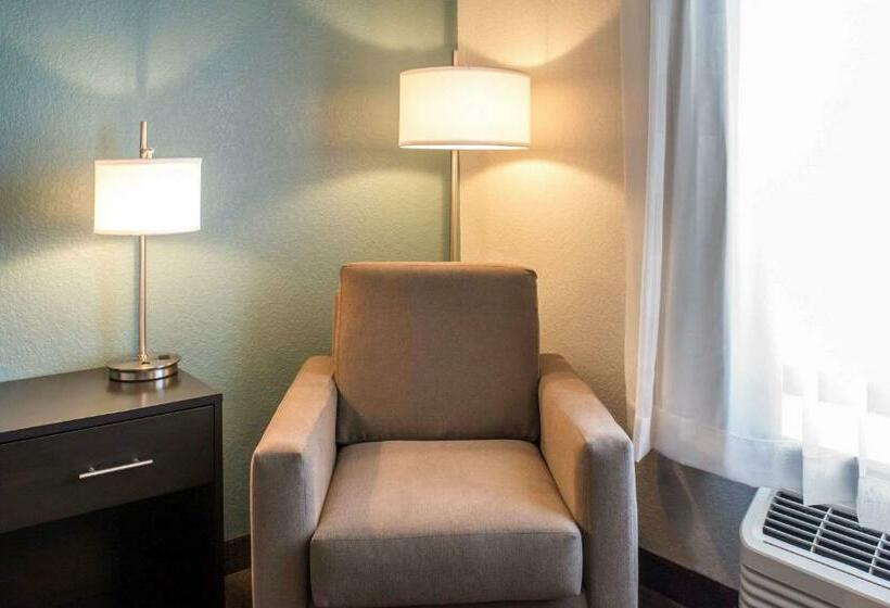 Стандартный Номер Кровать Кинг, Sleep Inn & Suites Fort Dodge