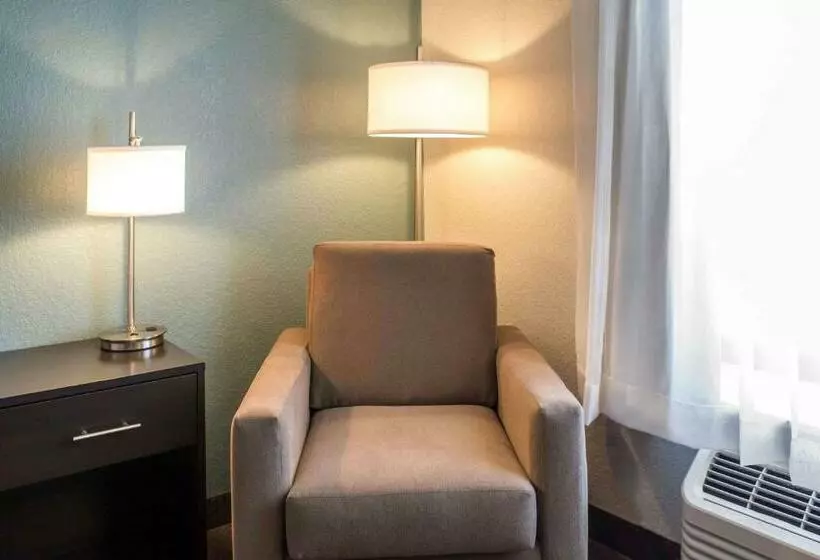 اتاق استاندارد با تخت بزرگ, Sleep Inn & Suites Fort Dodge