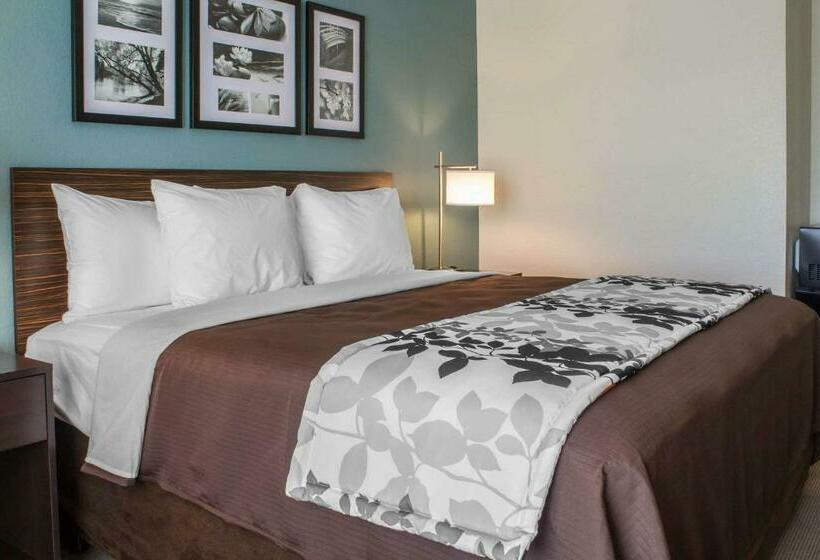 غرفة قياسية سرير كينج, Sleep Inn & Suites Fort Dodge