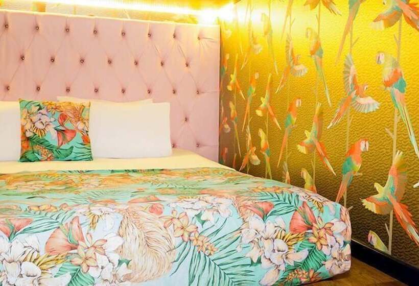 스탠다드 룸, The Shankly